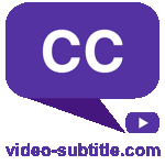 video-subtitle.com