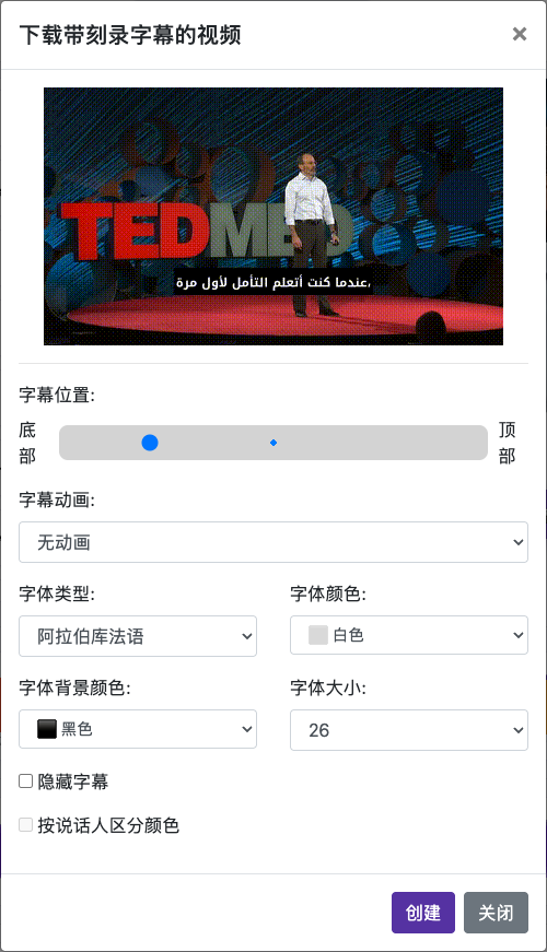 设置字幕外观 — 电脑